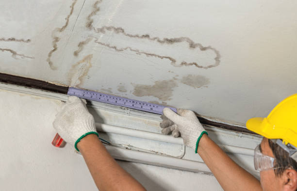 Reliable Water Damage contractor in Park City, UT by Water Damage Irwin